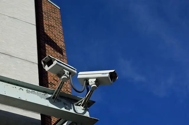 Best Outdoor Security Lights: Ultimate Buying Guide